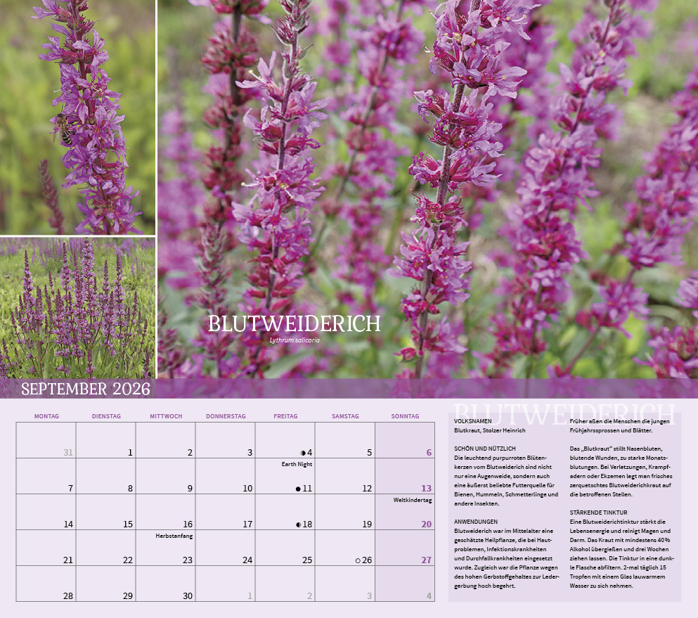 9783861925309_innenansicht_09 9783861925309_innenansicht_09.jpg