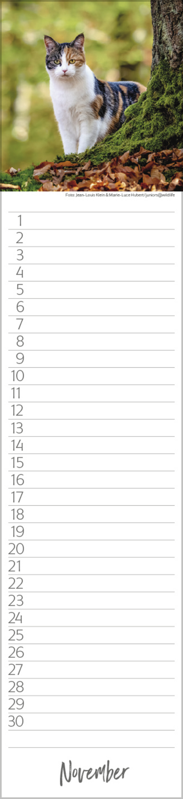 9783731887638_innenansicht_11 9783731887638_innenansicht_11.jpg