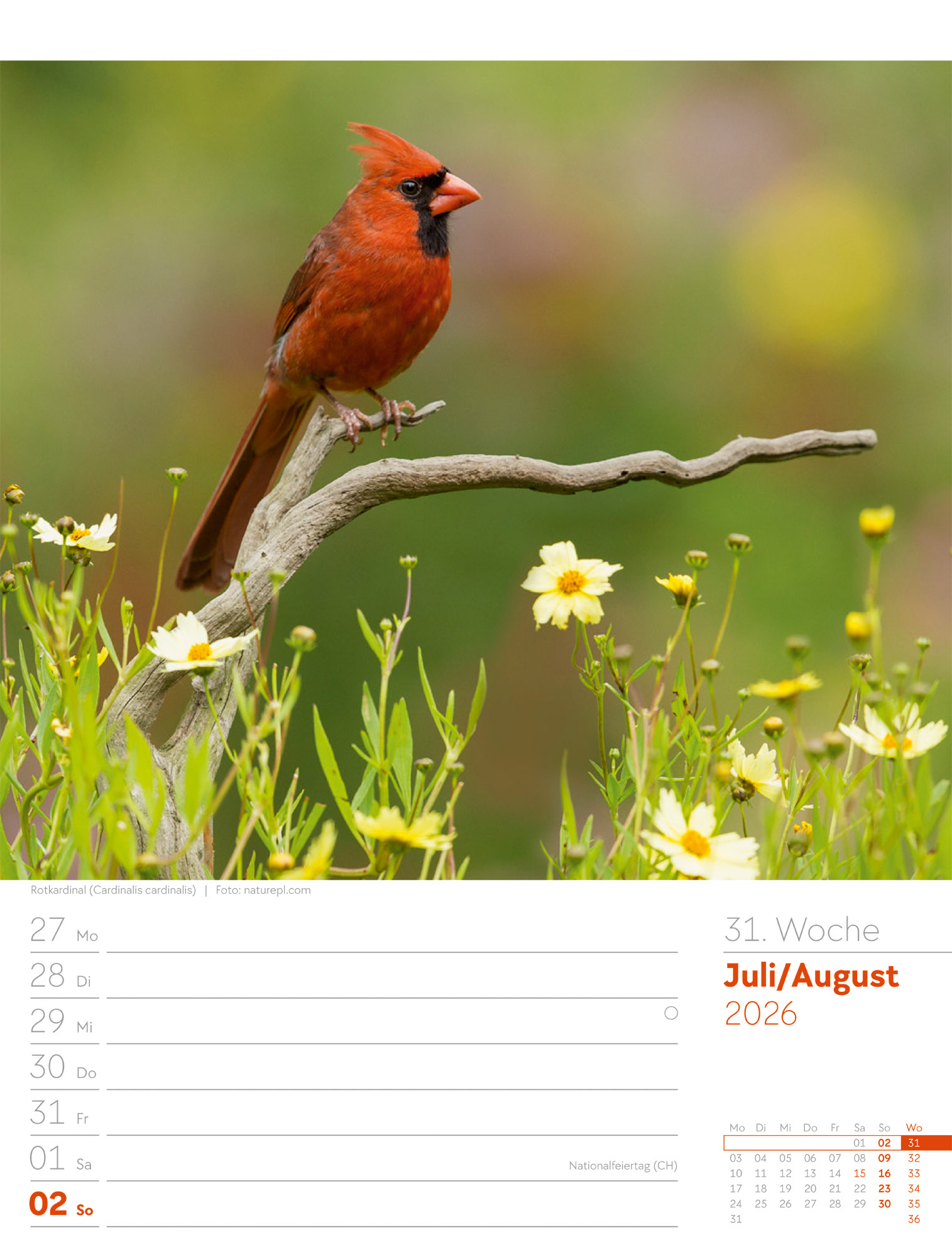 9783838436289_innenansicht_34 9783838436289_innenansicht_34.jpg