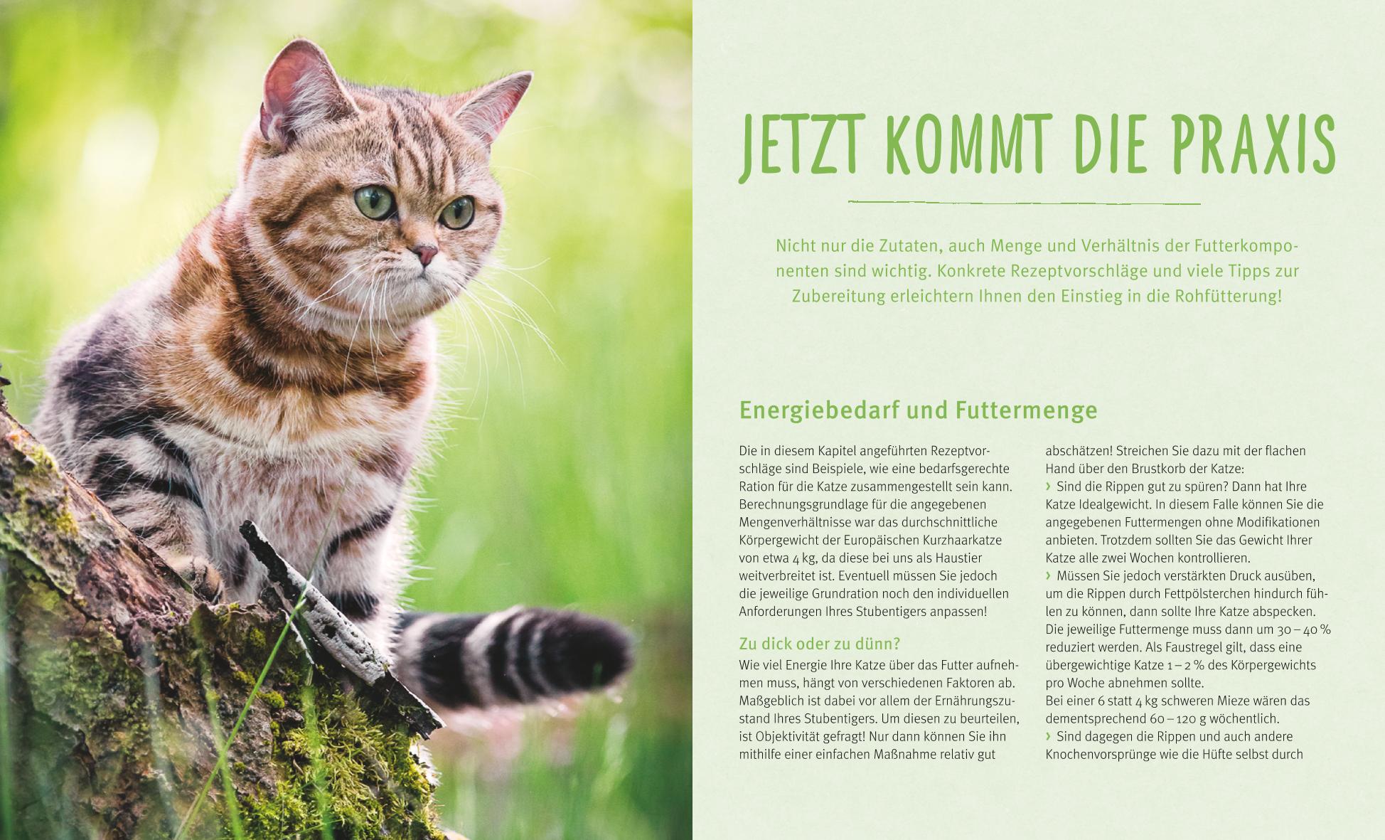 9783833834653_innenansicht_03.jpg