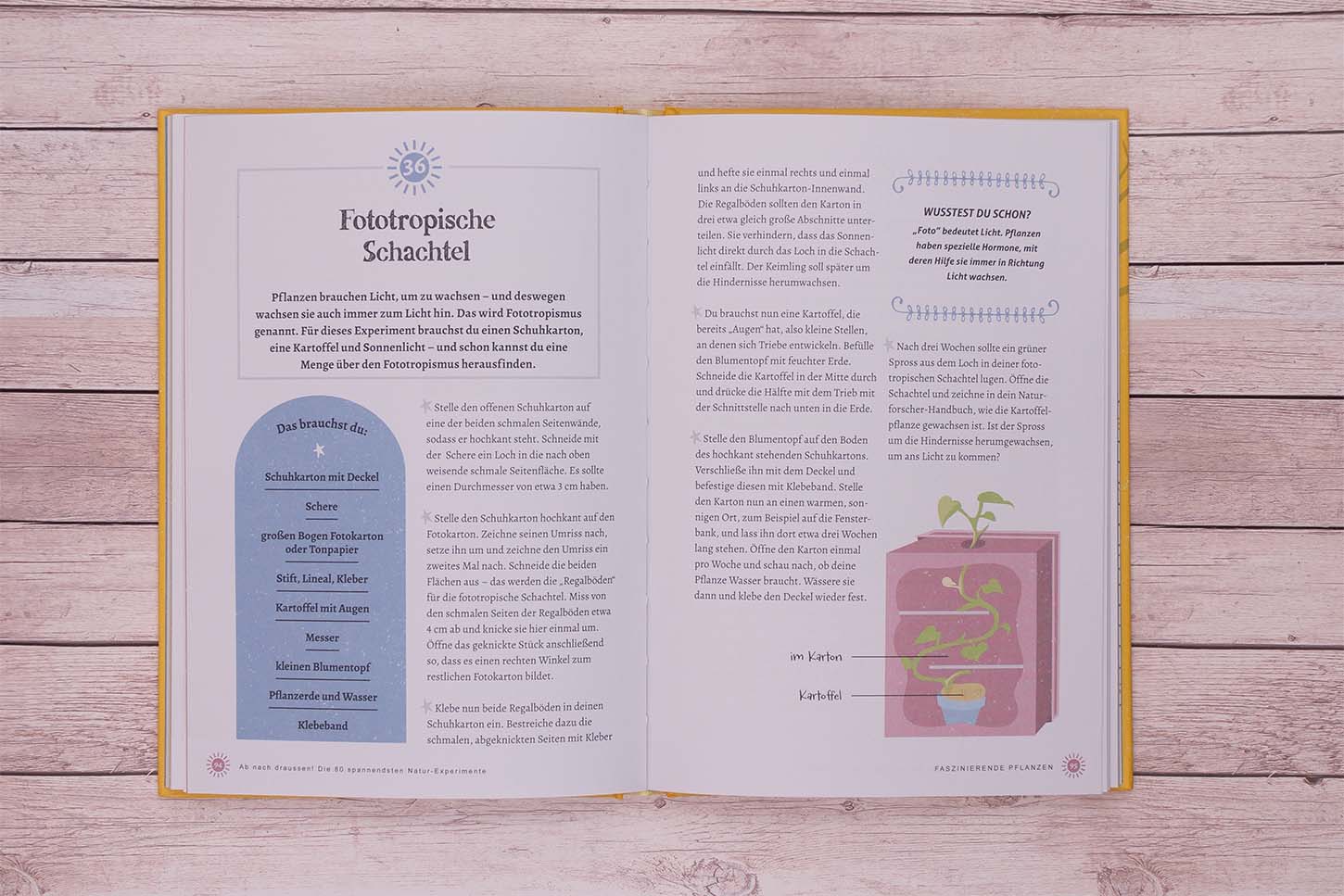 9783743211995_innenansicht_03 9783743211995_innenansicht_03.jpg