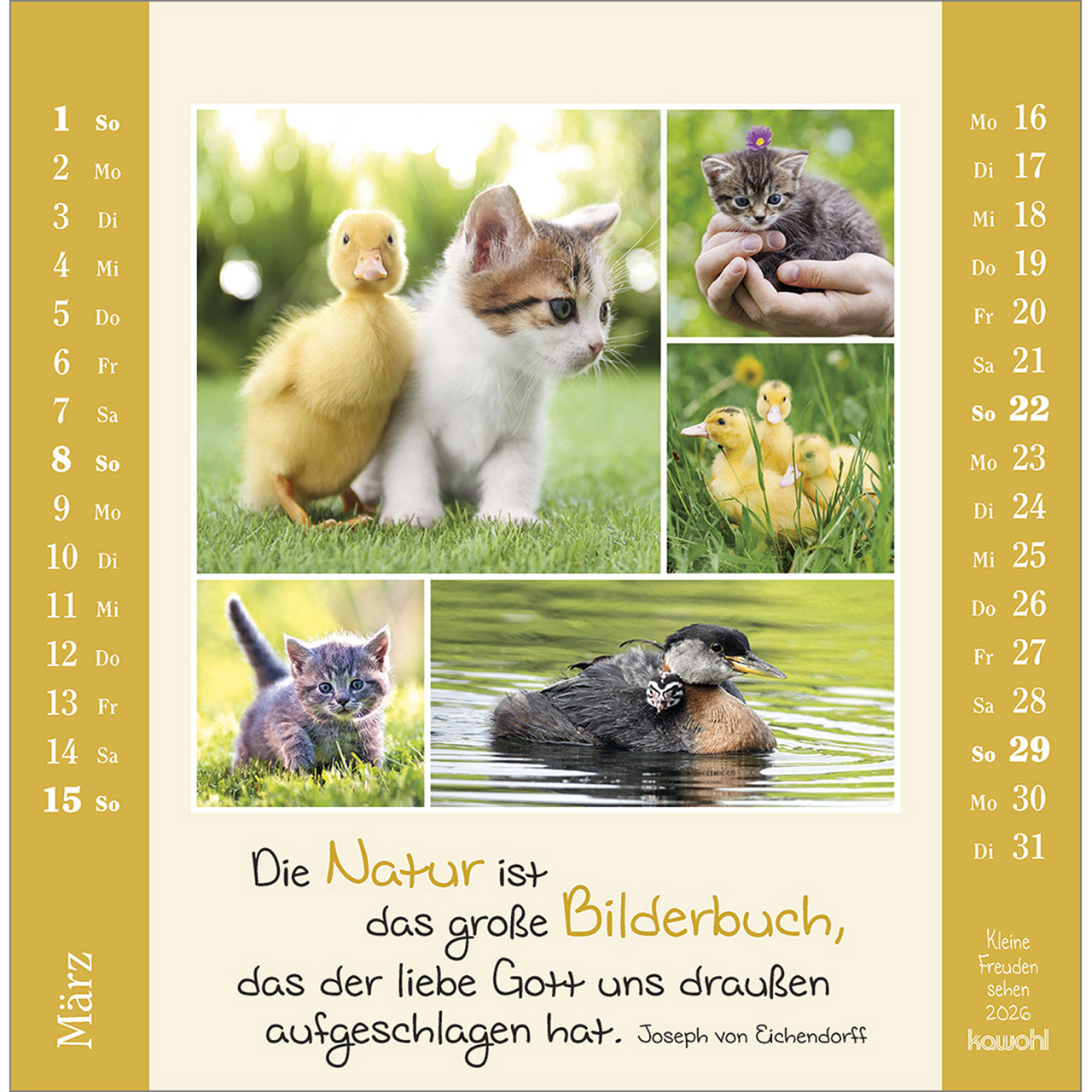 9783754817964_innenansicht_03.jpg