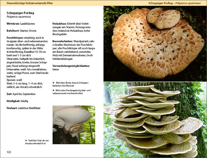 9783934947450_innenansicht_03 9783934947450_innenansicht_03.jpg