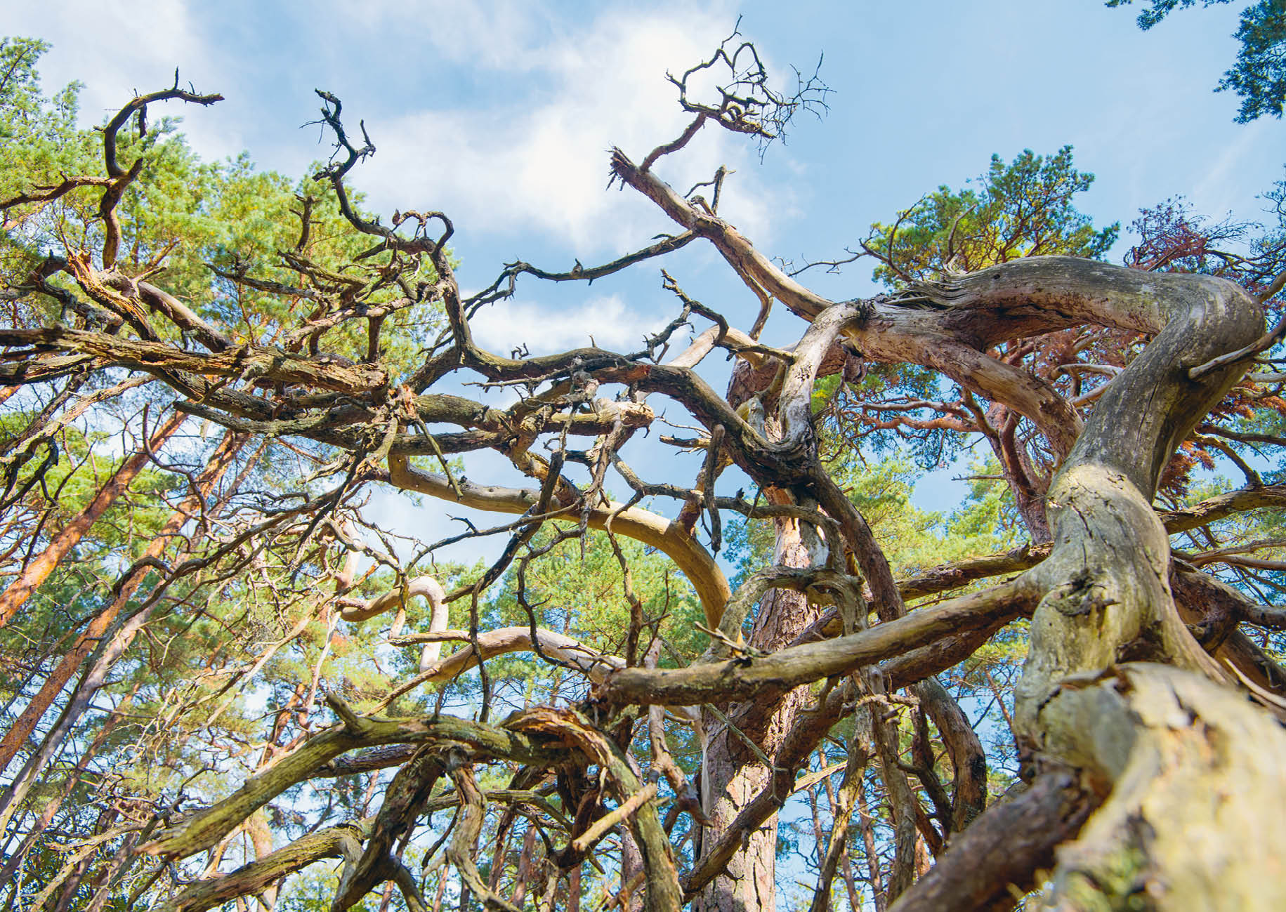 9783895664014_innenansicht_03.jpg 9783895664014_innenansicht_03.jpg