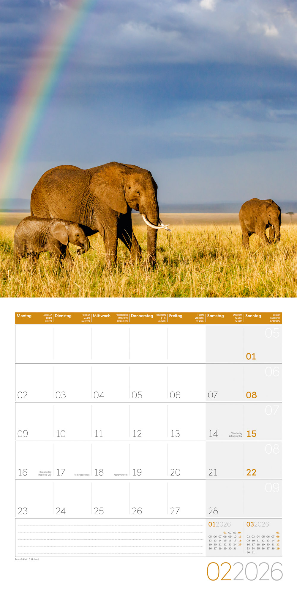 9783838446288_innenansicht_02 9783838446288_innenansicht_02.jpg