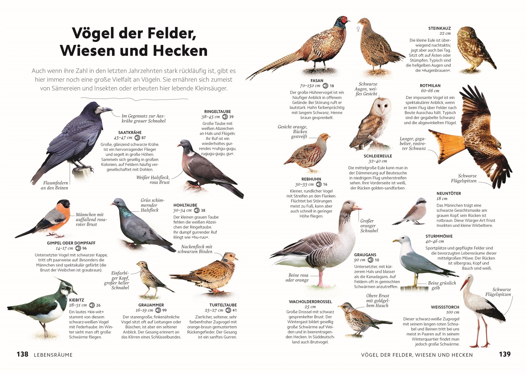9783831049943_innenansicht_12.jpg