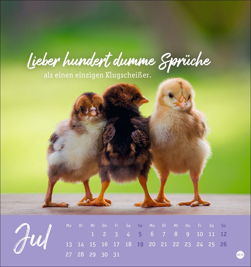 9783756412310_innenansicht_07.jpg
