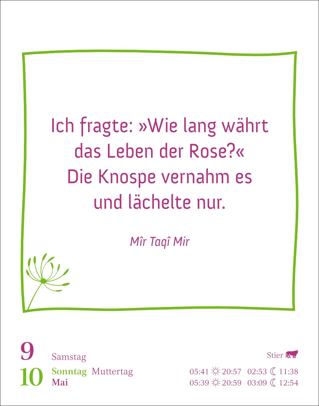 9783840036958_innenansicht_07.jpg