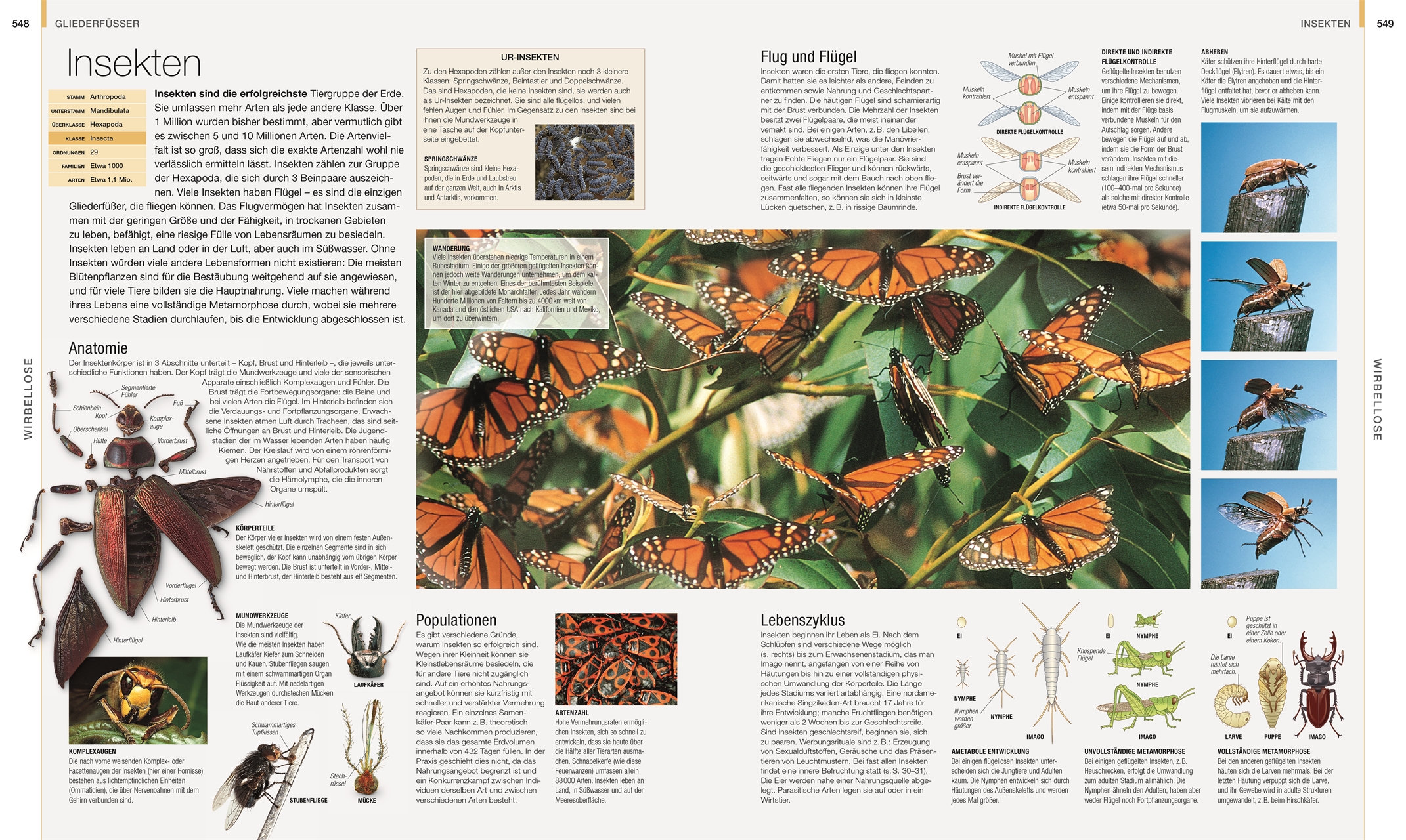 9783831048489_innenansicht_11 9783831048489_innenansicht_11.jpg