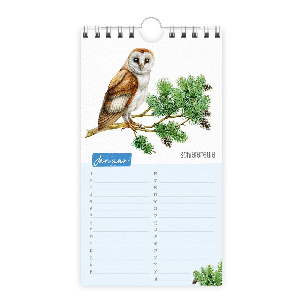 9783988025005_innenansicht_01 9783988025005_innenansicht_01.jpg