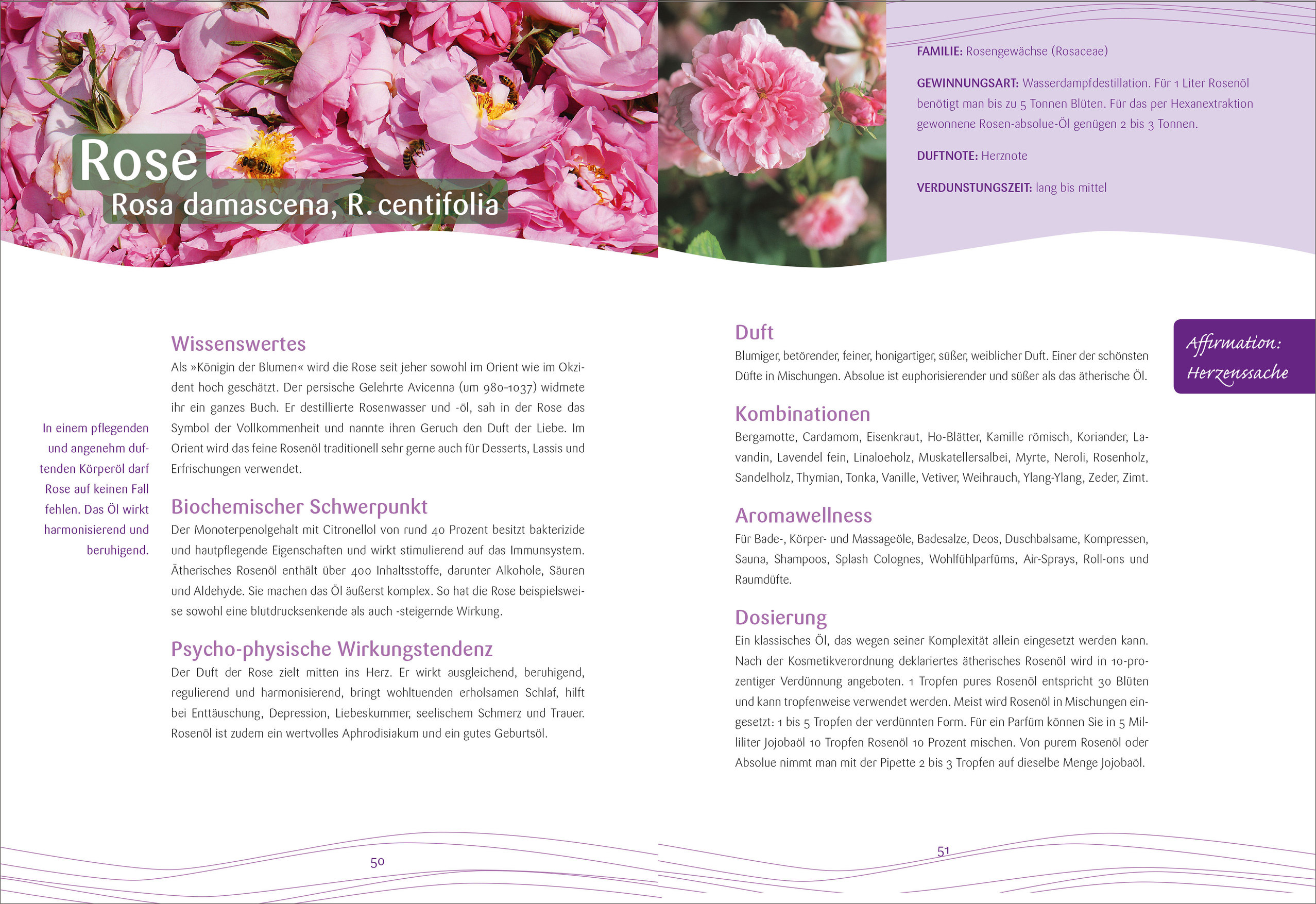 9783809439912_innenansicht_02.jpg 9783809439912_innenansicht_02.jpg