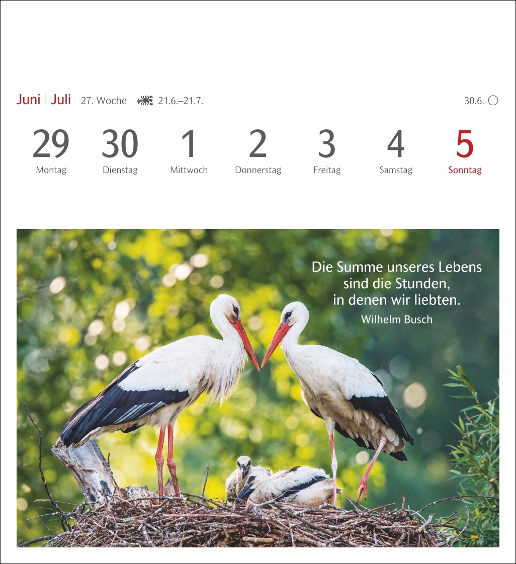 9783840036071_innenansicht_08.jpg