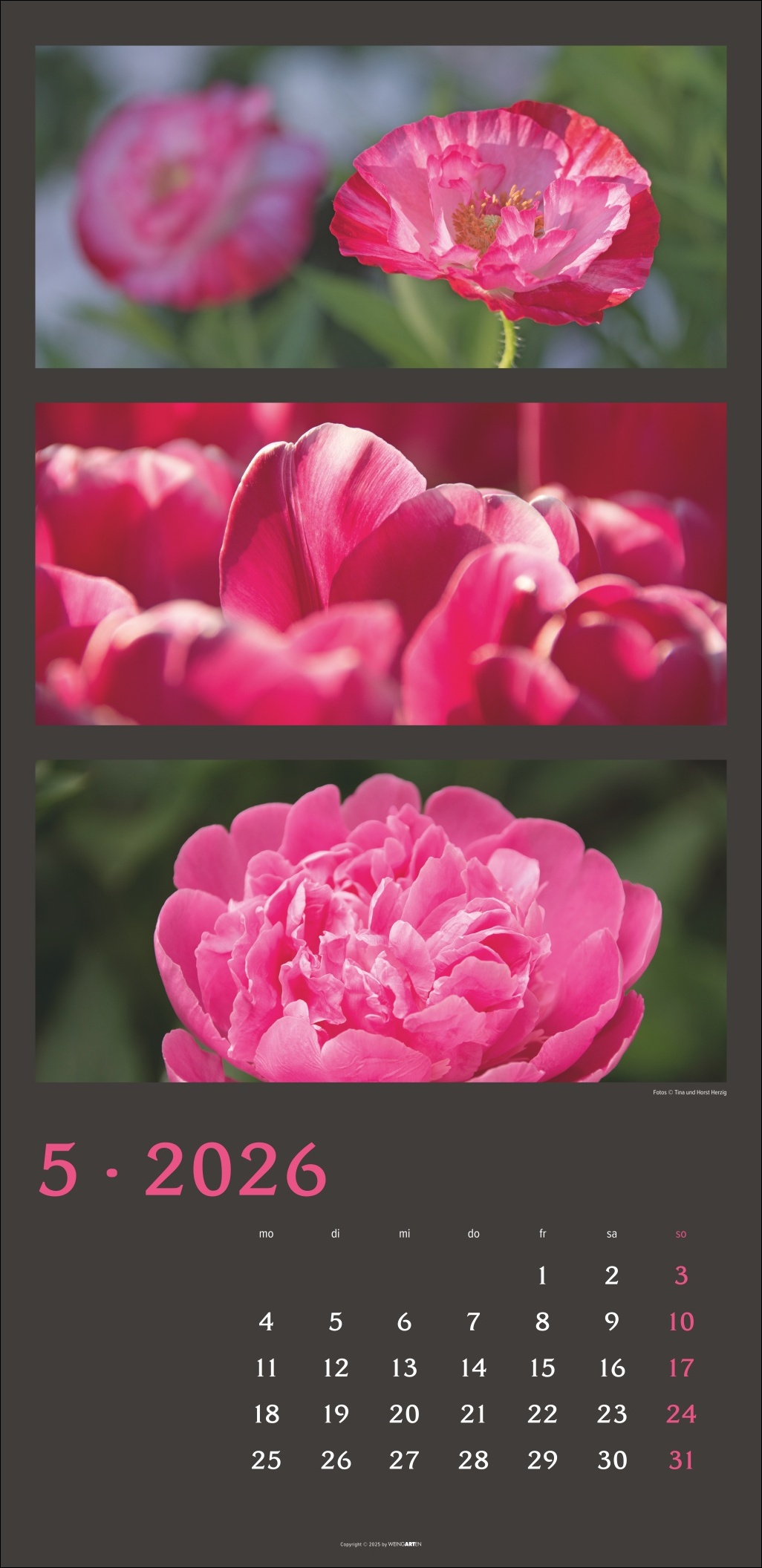 9783839902226_innenansicht_05.jpg