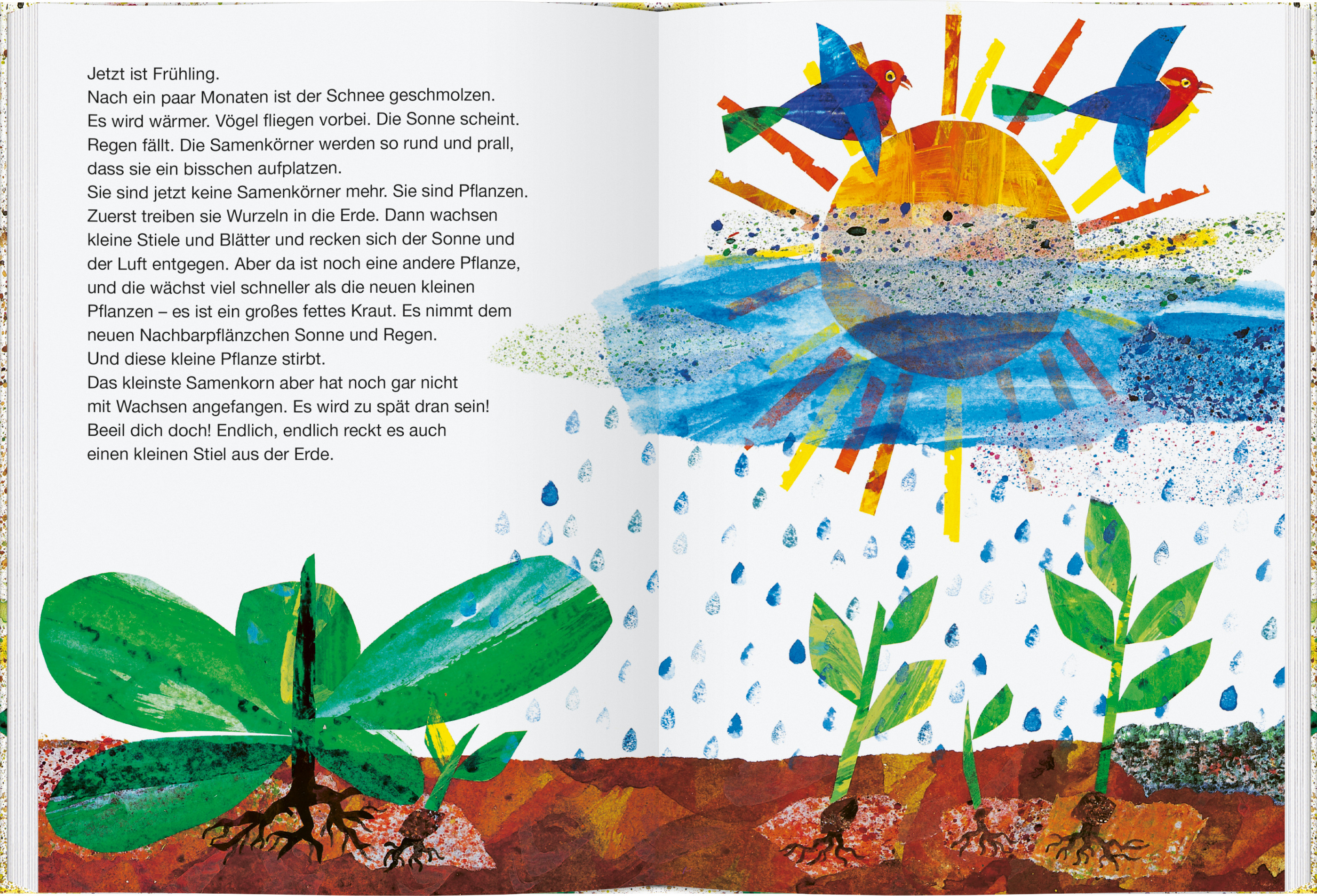 9783836962513_innenansicht_01 9783836962513_innenansicht_01.jpg