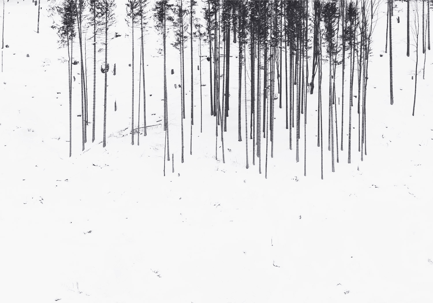 9783949070310_innenansicht_02 9783949070310_innenansicht_02.jpg