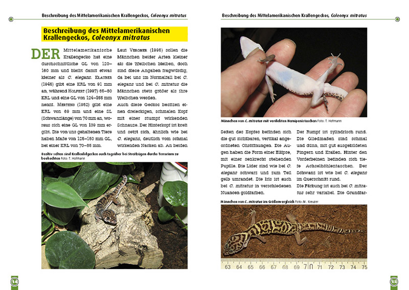 9783866592292_innenansicht_02.jpg 9783866592292_innenansicht_02.jpg