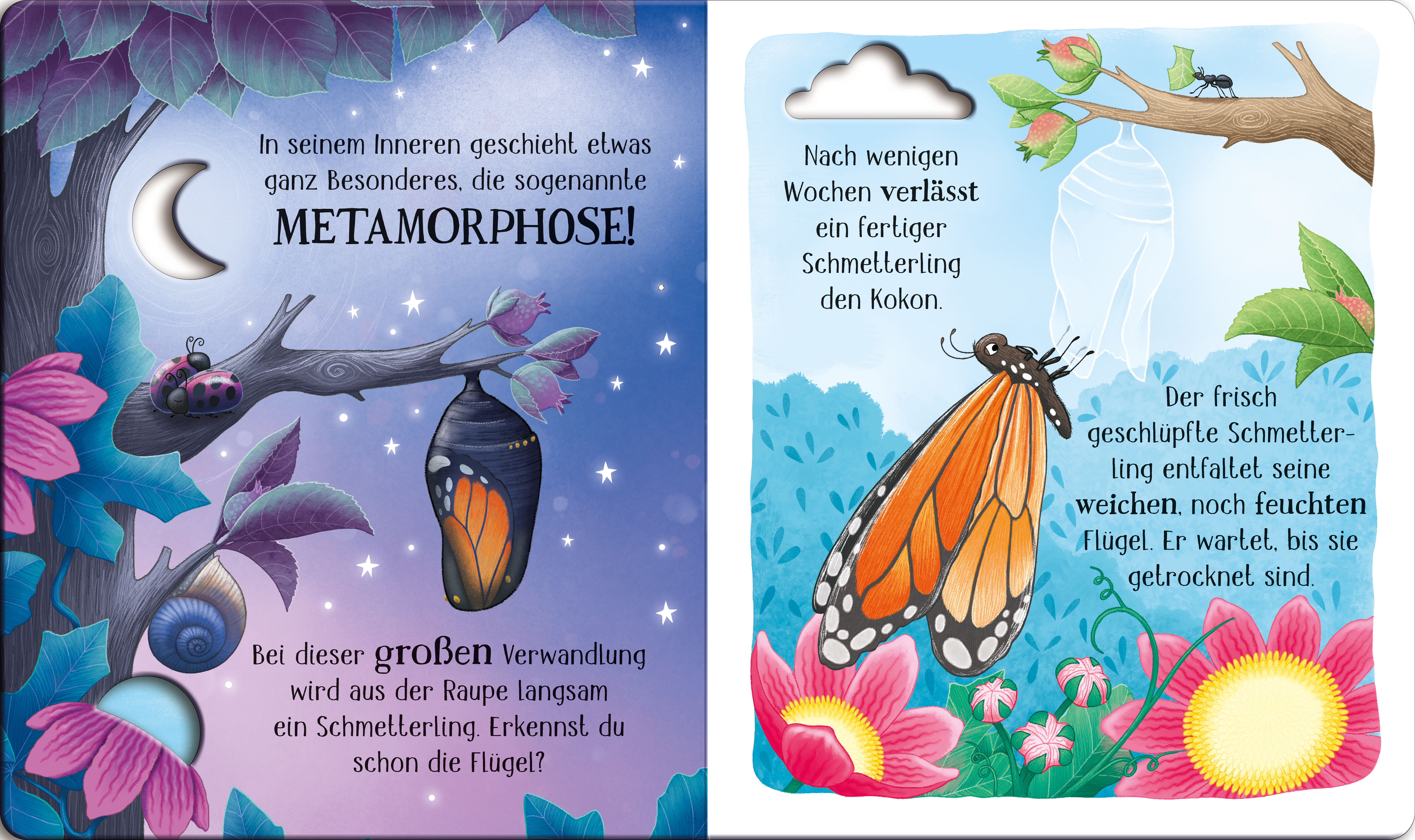 9781789418866_innenansicht_02.jpg