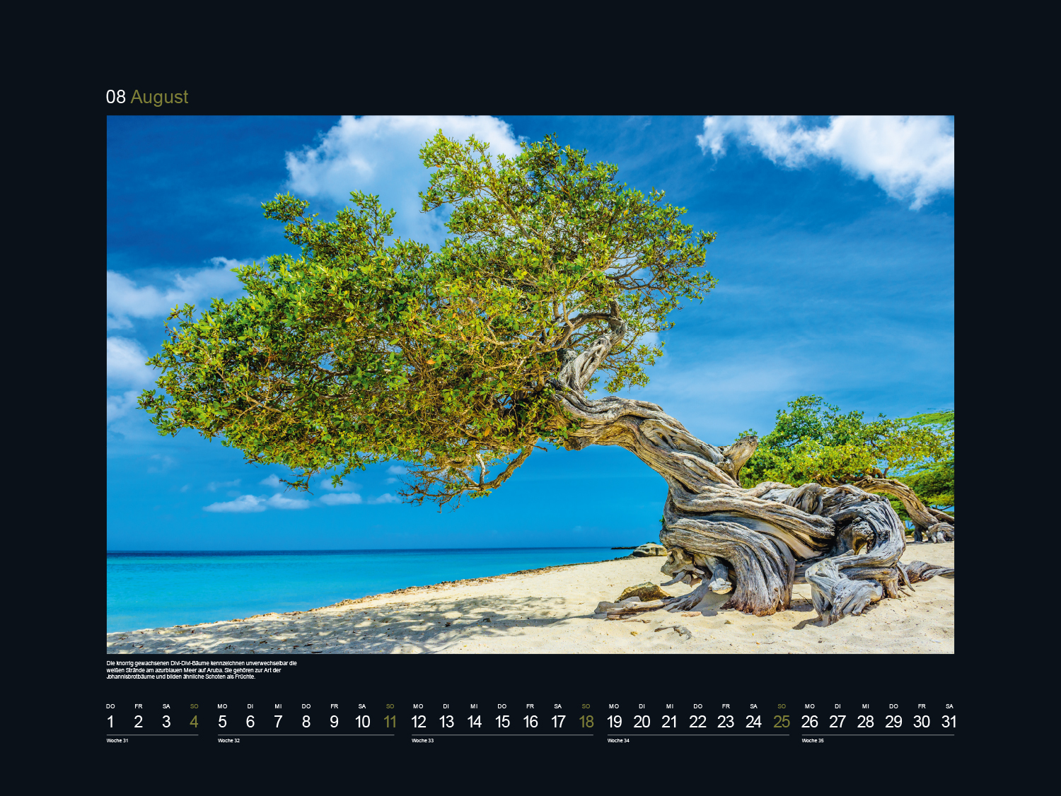 9783965912496_innenansicht_09 9783965912496_innenansicht_09.jpg