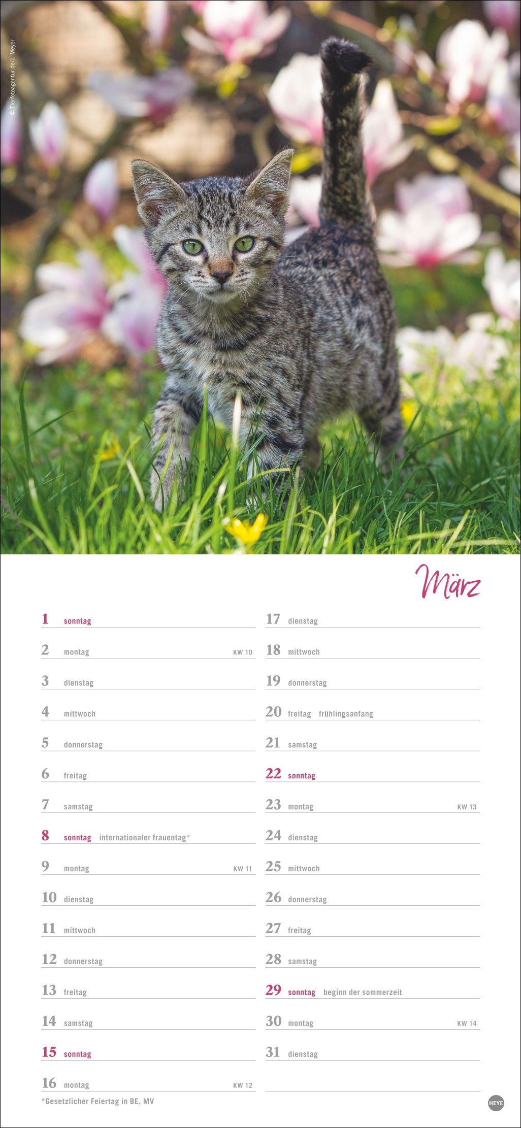 9783756409778_innenansicht_03 9783756409778_innenansicht_03.jpg