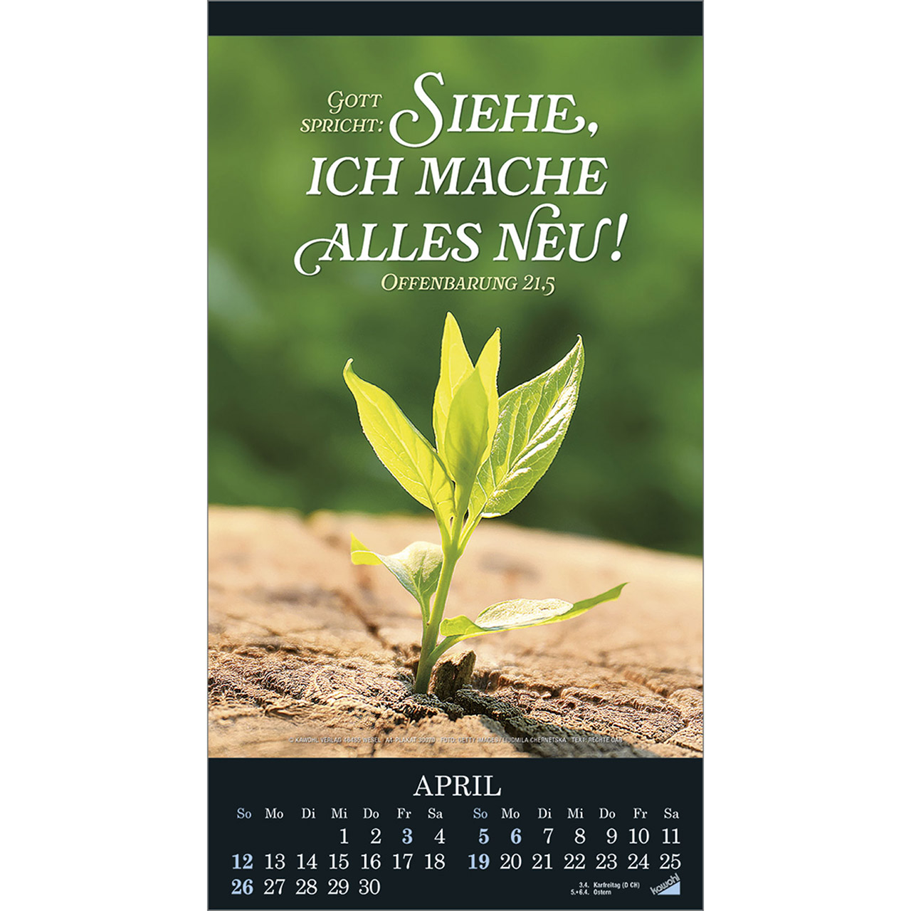 9783754855065_innenansicht_04.jpg