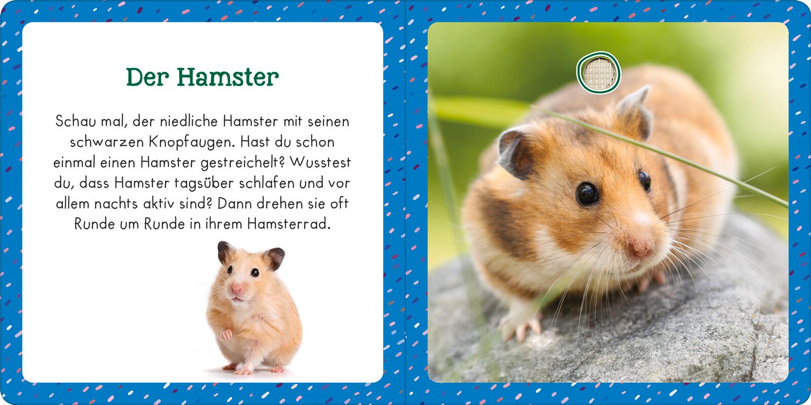 9783845855356_innenansicht_02.jpg