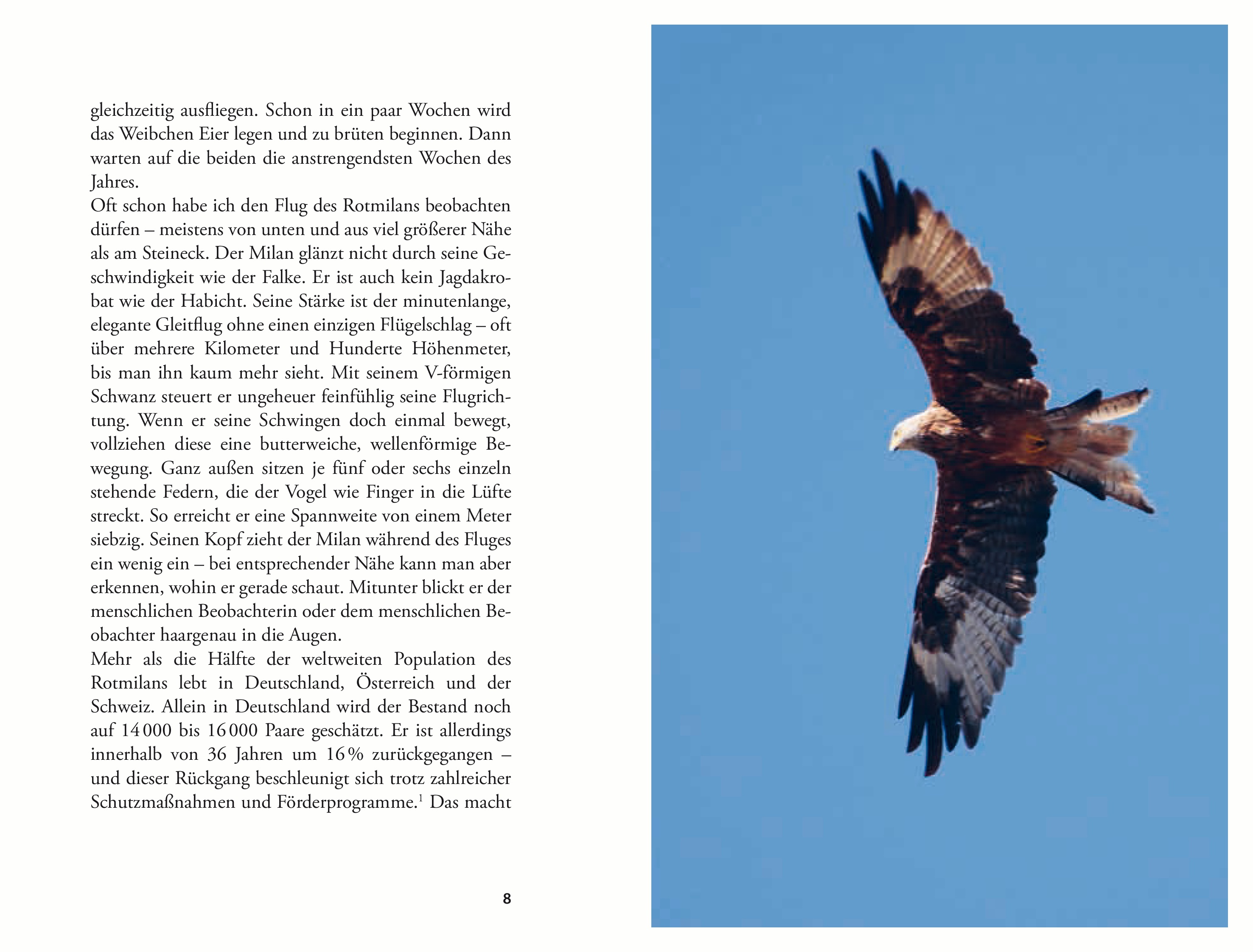 9783702511661_innenansicht_04 9783702511661_innenansicht_04.jpg