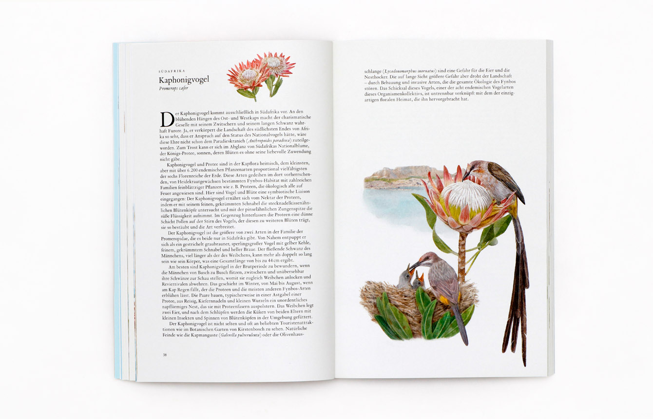 9783962443474_produktbild_09 9783962443474_produktbild_09.jpg