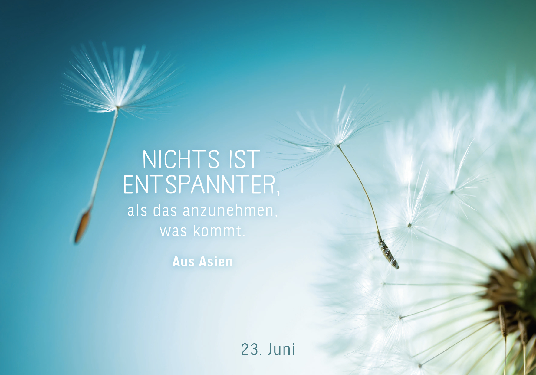 9783629009852_innenansicht_01.jpg