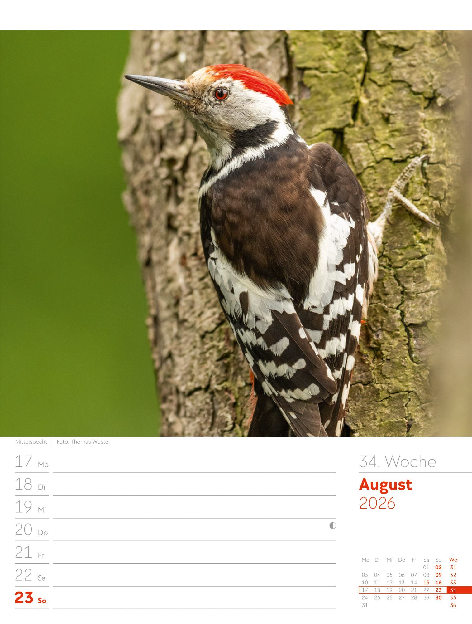 9783838426976_innenansicht_37 9783838426976_innenansicht_37.jpg