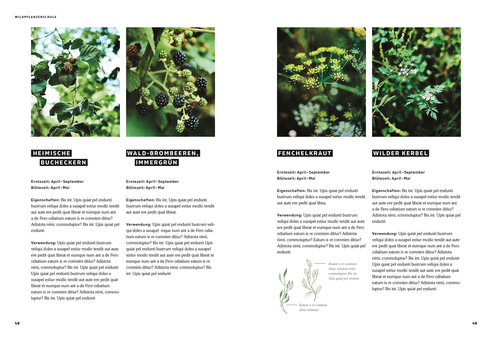 9783831041992_innenansicht_04 9783831041992_innenansicht_04.jpg