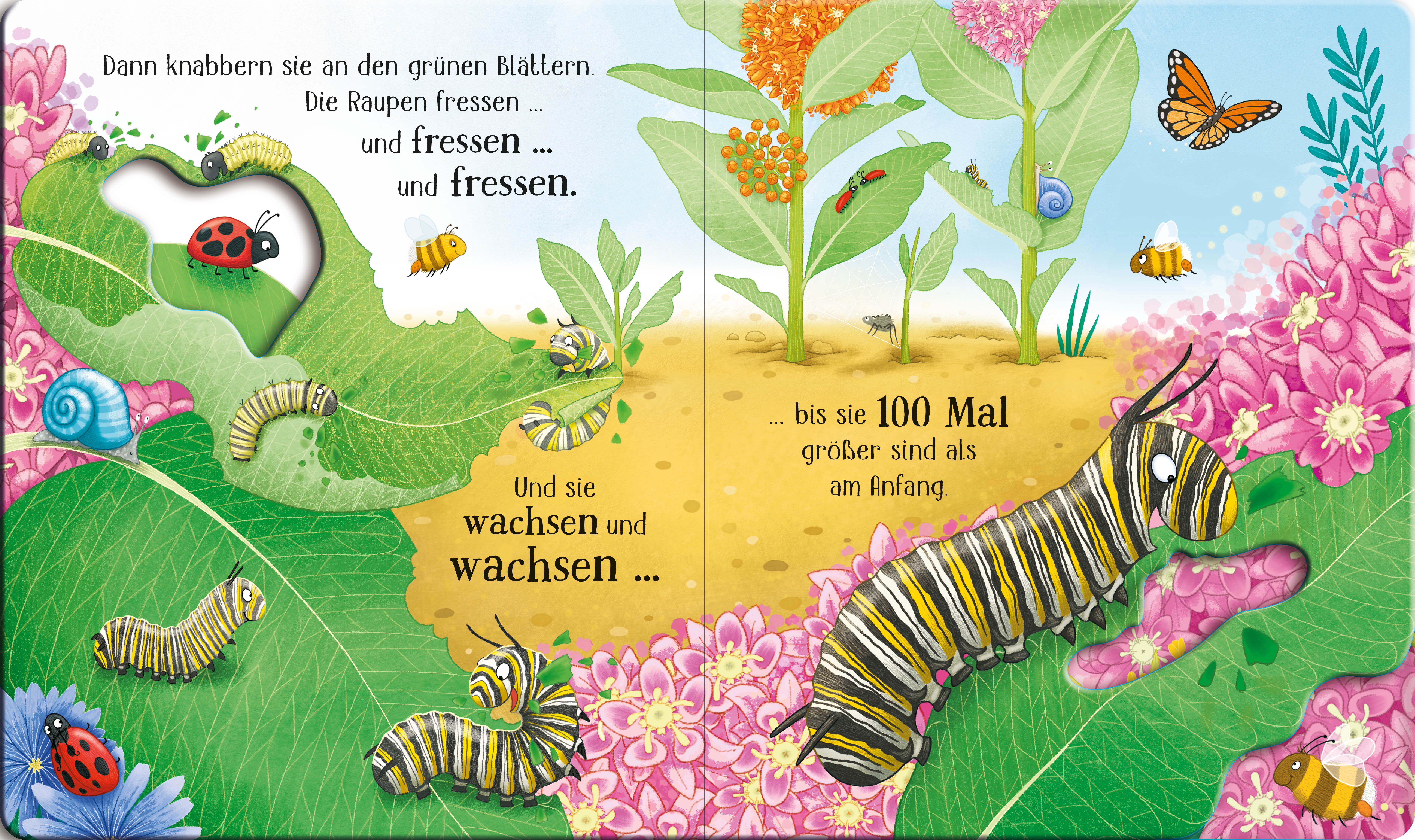 9781789418866_innenansicht_01.jpg