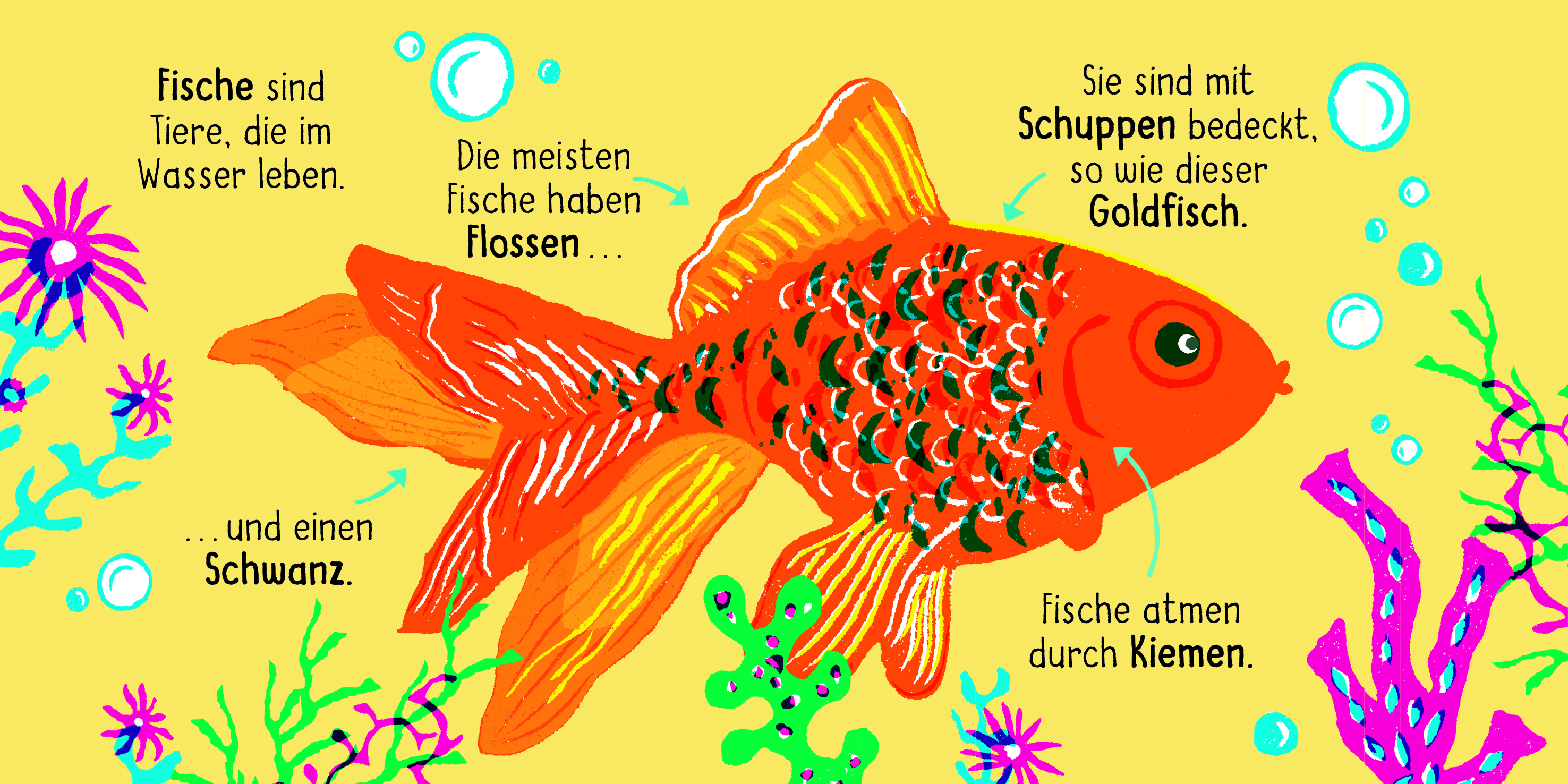 9783411780457_innenansicht_01.jpg
