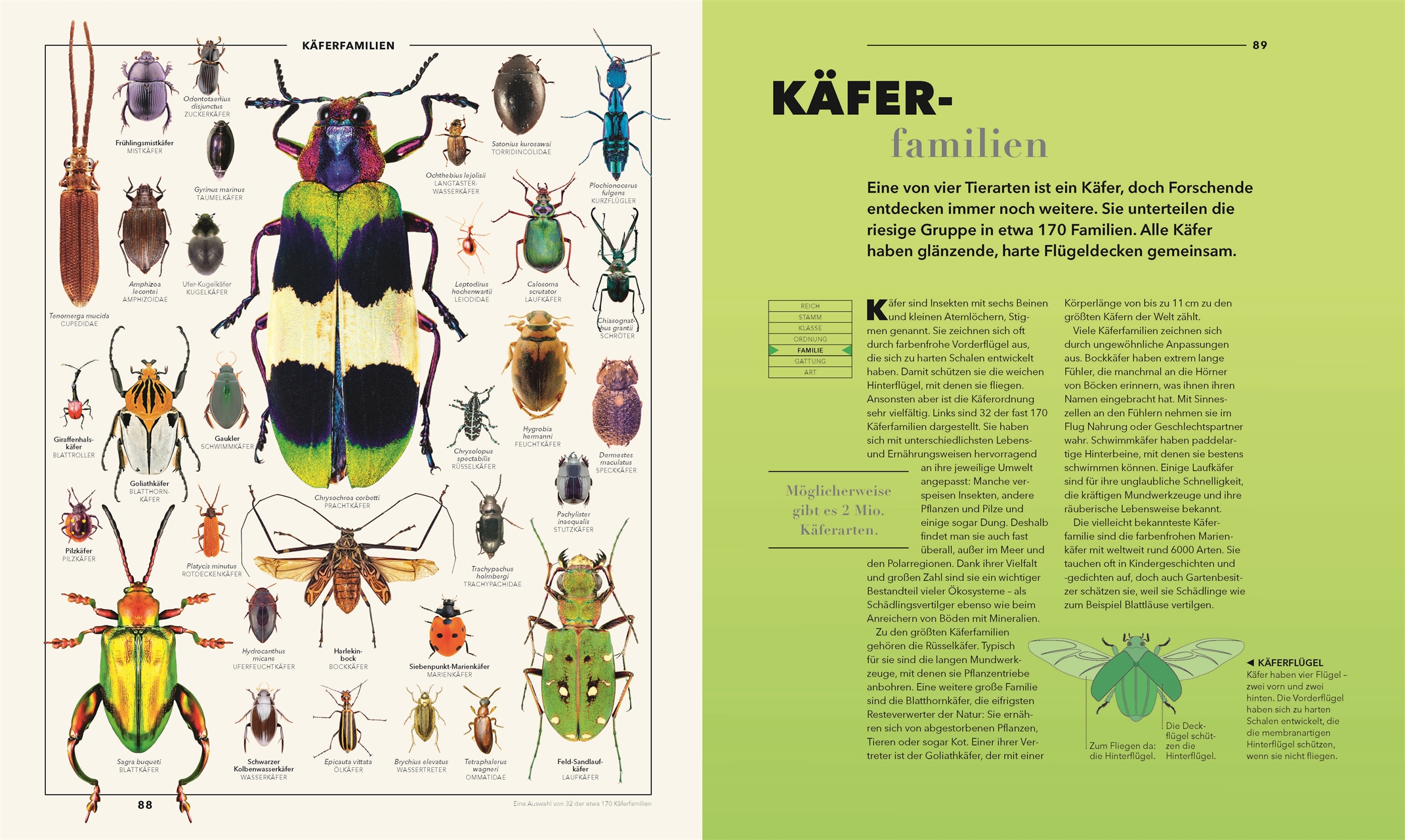 9783831050826_innenansicht_12 9783831050826_innenansicht_12.jpg