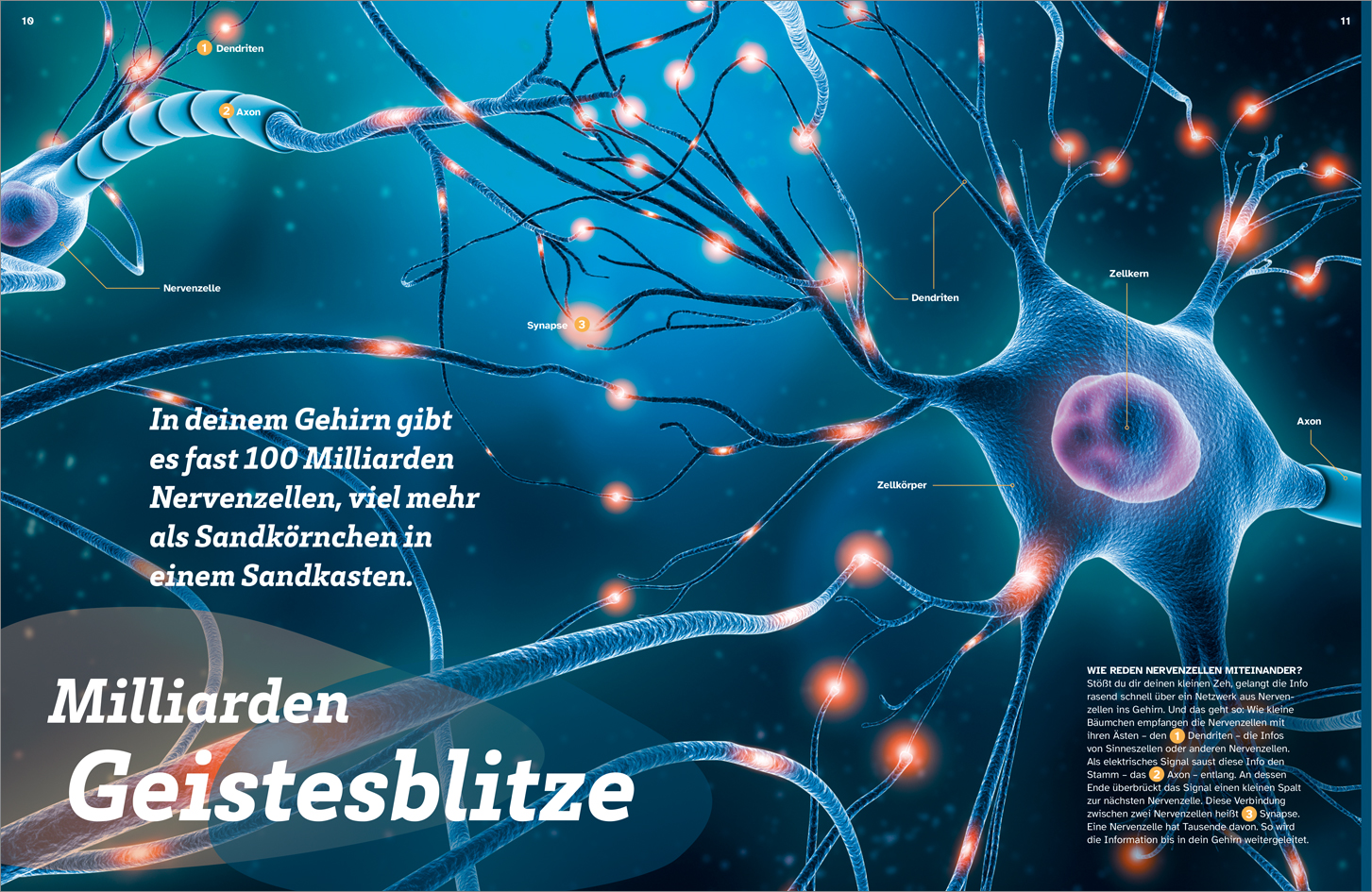 9783788677152_innenansicht_03.jpg