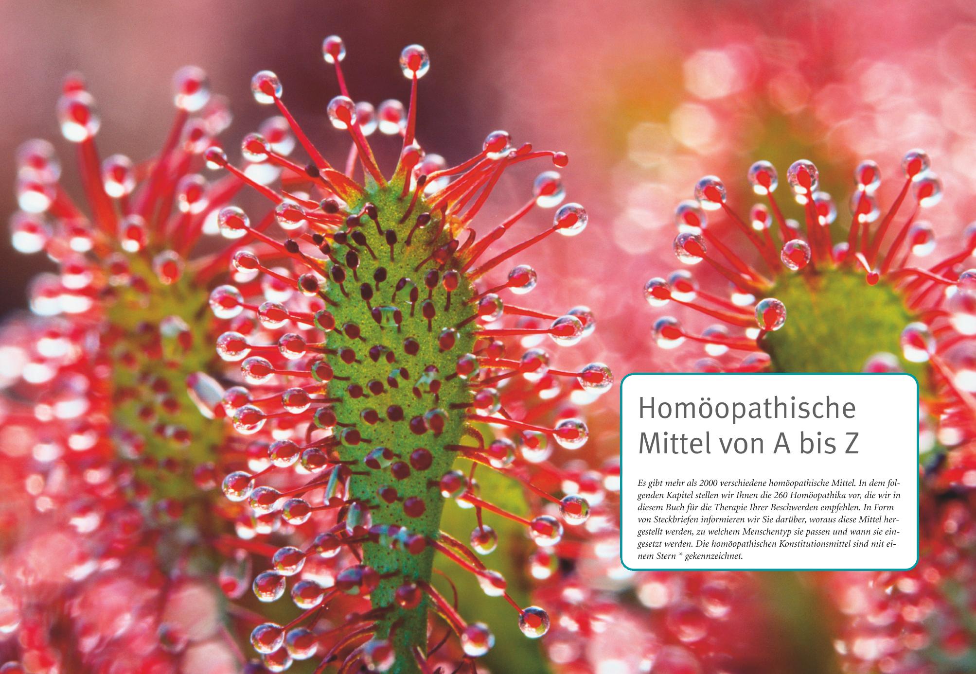 9783833800344_innenansicht_06 9783833800344_innenansicht_06.jpg