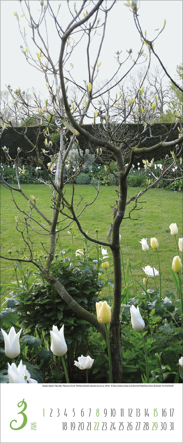 9783731886334_innenansicht_03 9783731886334_innenansicht_03.jpg