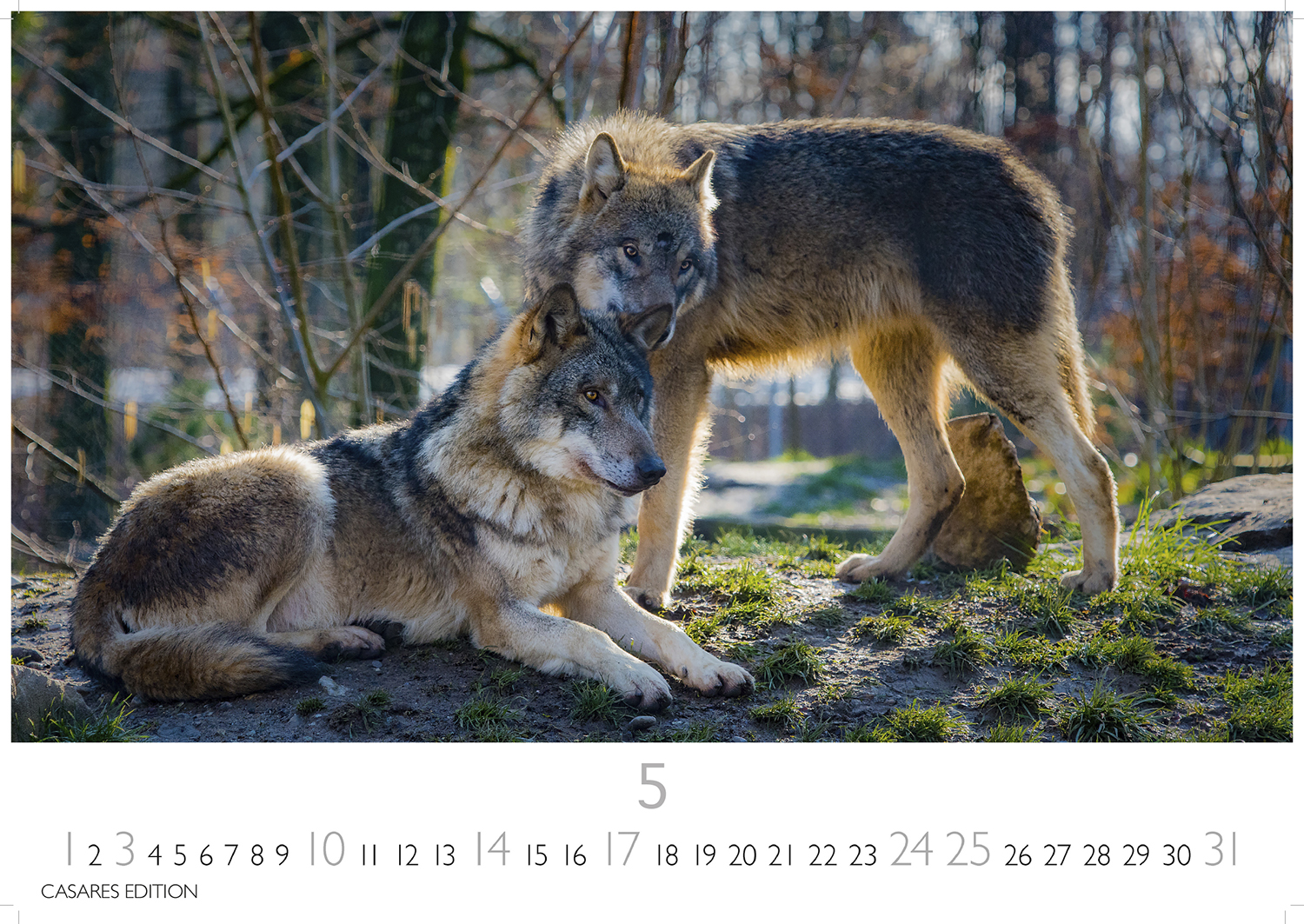 9781835244494_innenansicht_05.jpg