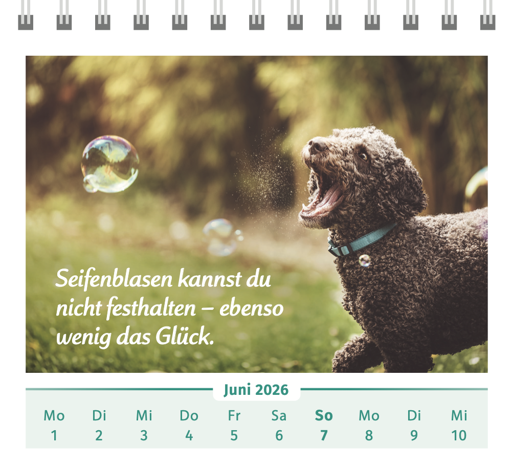 9783910294516_innenansicht_03 9783910294516_innenansicht_03.png