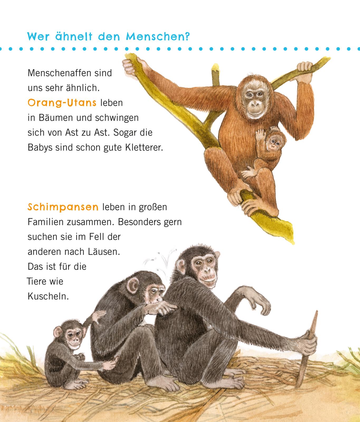 9783551036100_innenansicht_07.jpg