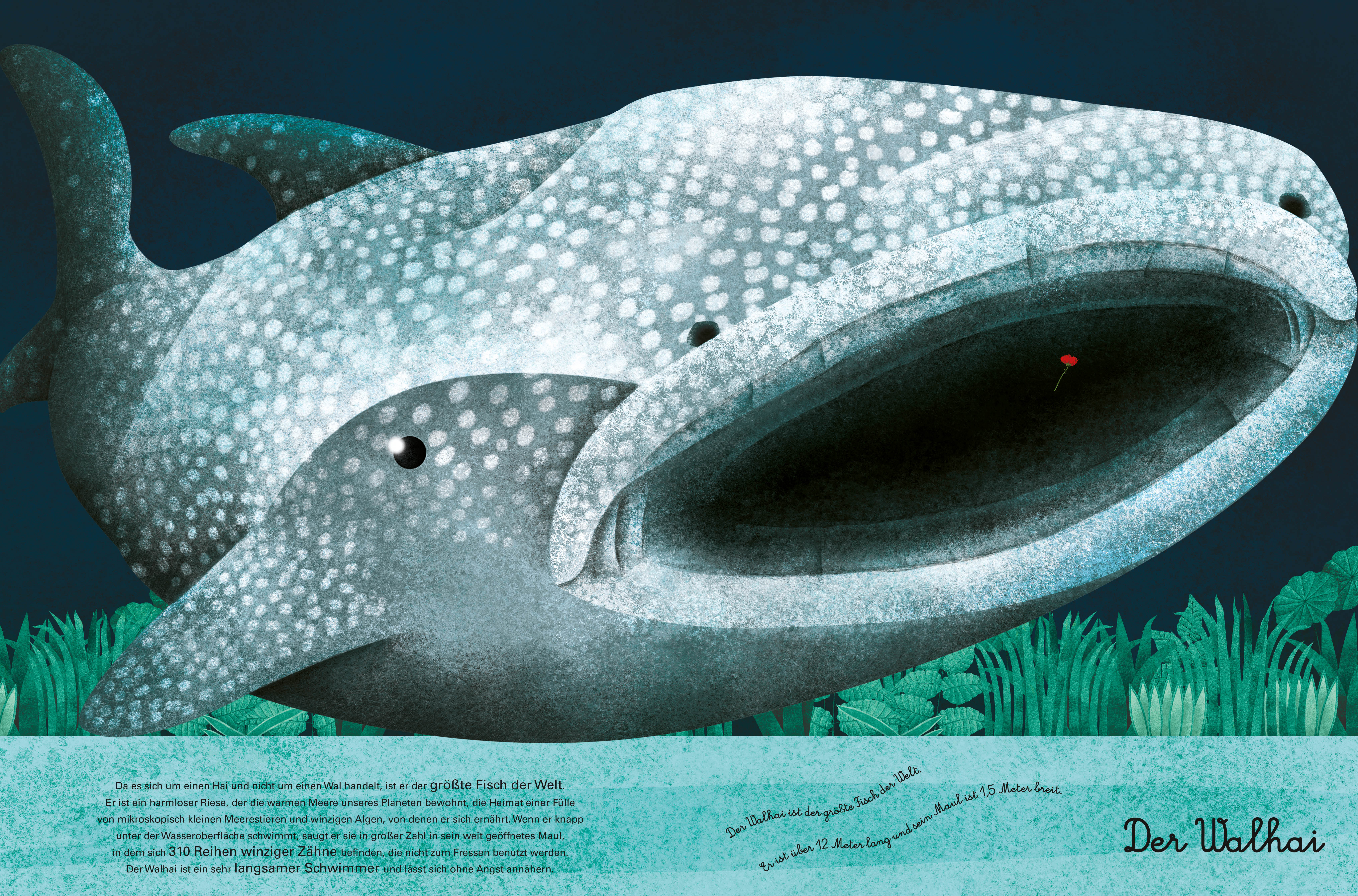 9788863125597_innenansicht_03 9788863125597_innenansicht_03.jpg