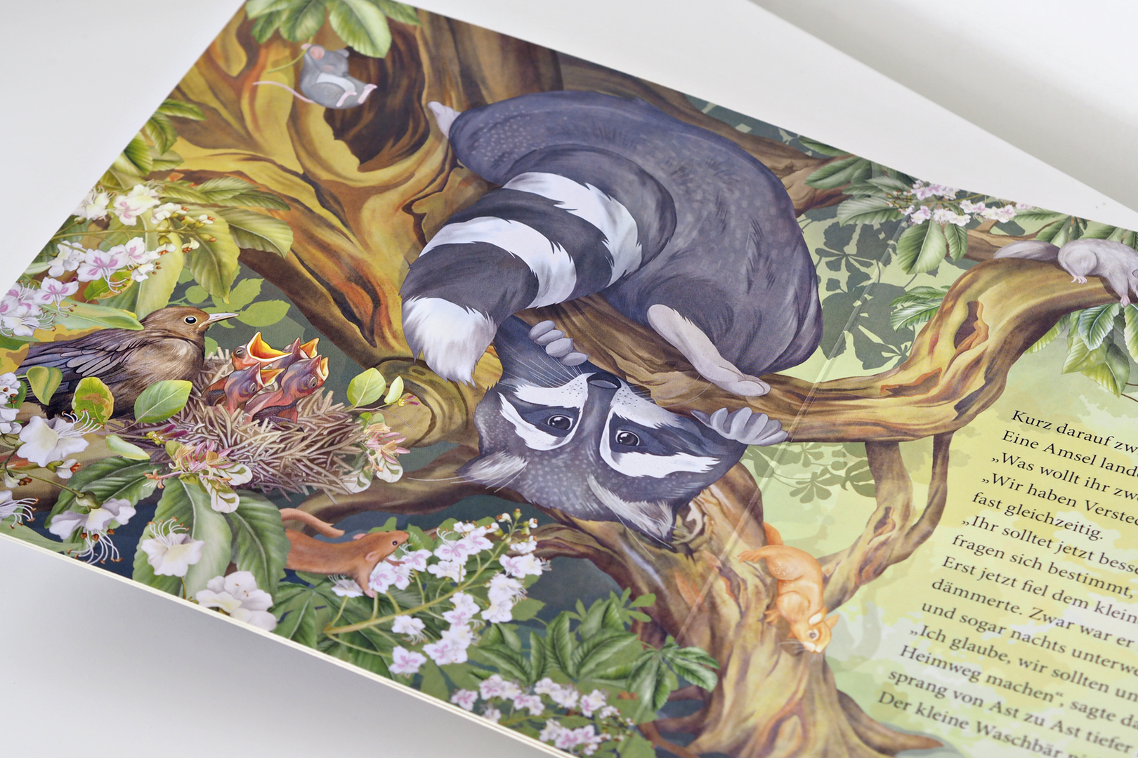 9783963401916_innenansicht_05 9783963401916_innenansicht_05.png