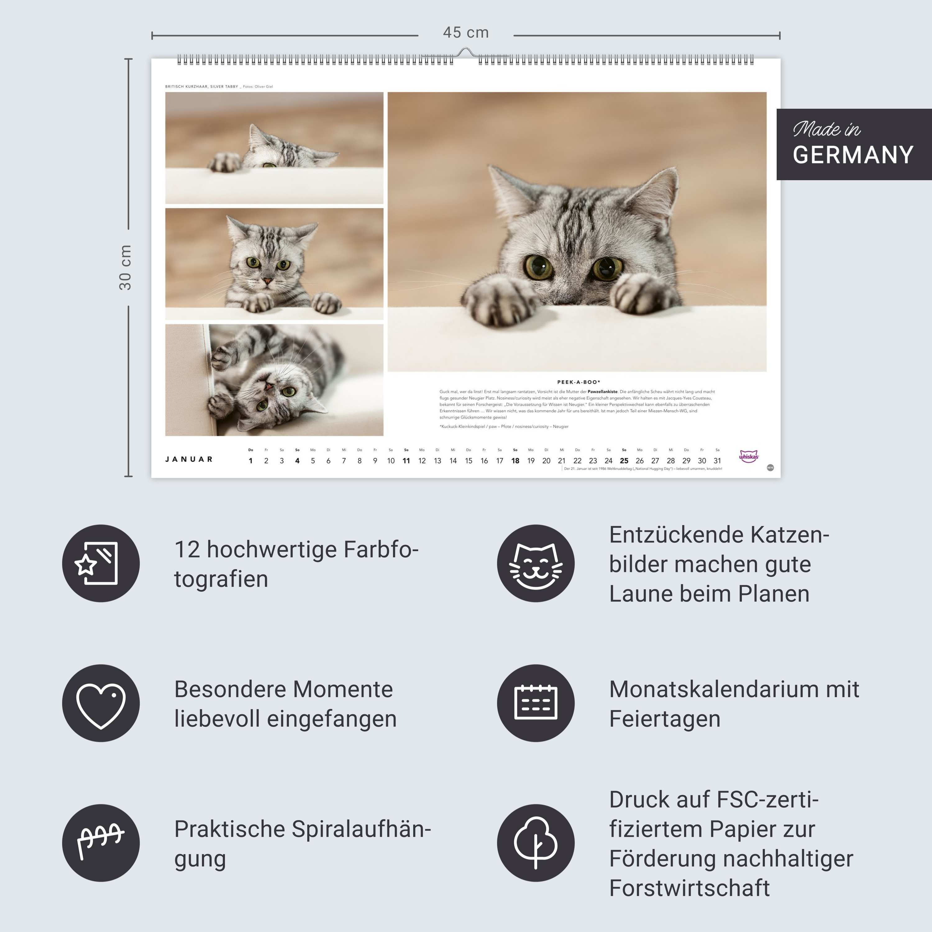 9783756413119_innenansicht_13 9783756413119_innenansicht_13.jpg