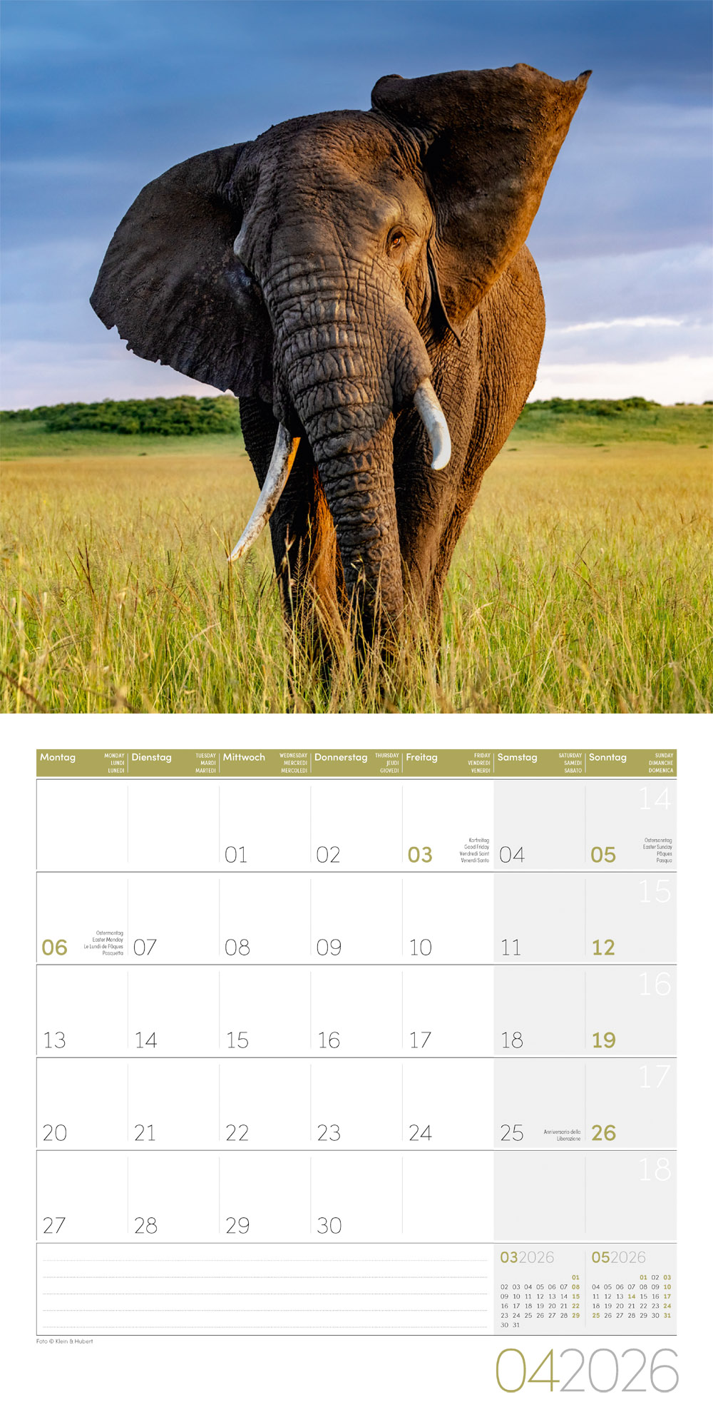 9783838446288_innenansicht_04 9783838446288_innenansicht_04.jpg