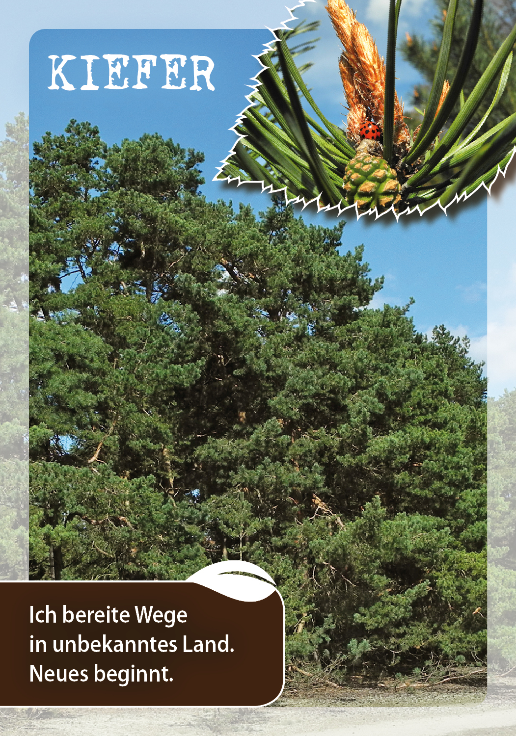 9783843491846_innenansicht_03.jpg
