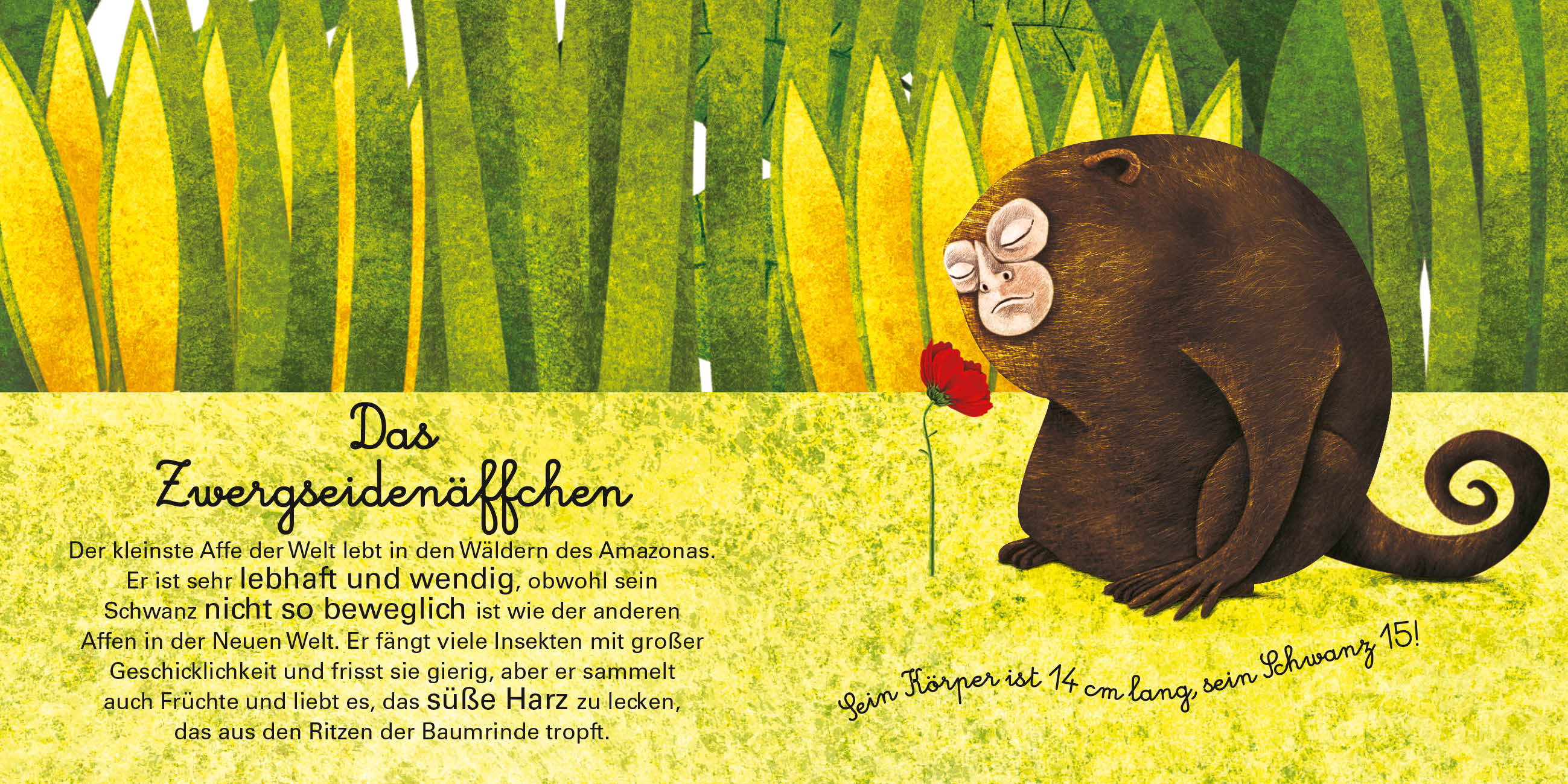 9788863125597_innenansicht_11 9788863125597_innenansicht_11.jpg