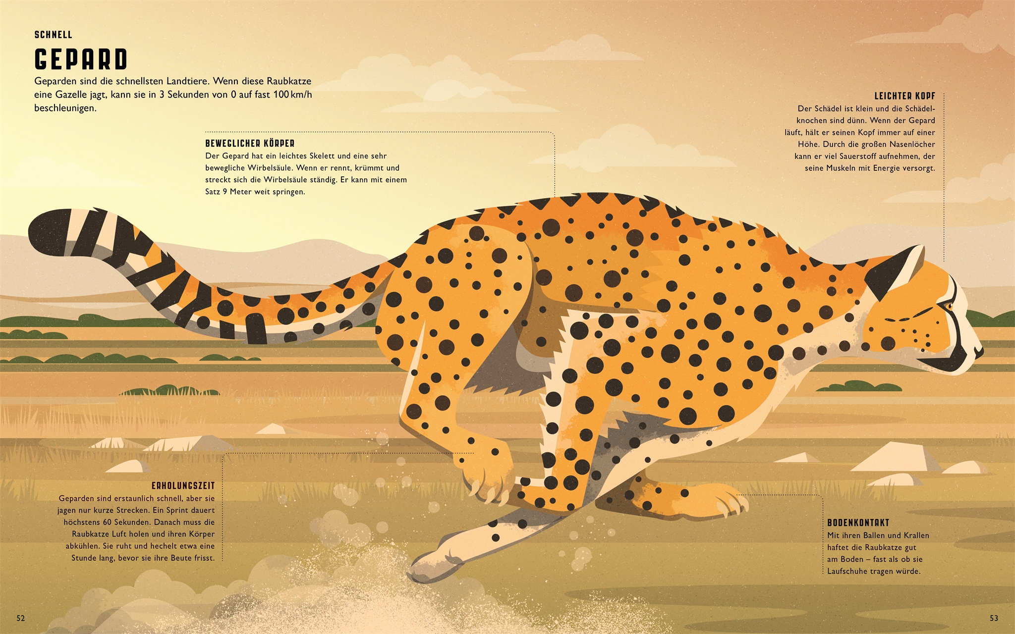 9783831046171_innenansicht_02 9783831046171_innenansicht_02.jpg