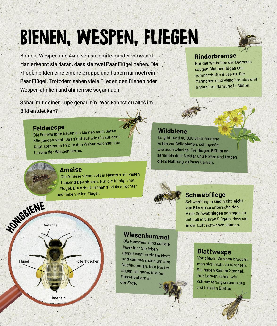 9783849945671_innenansicht_03 9783849945671_innenansicht_03.jpg