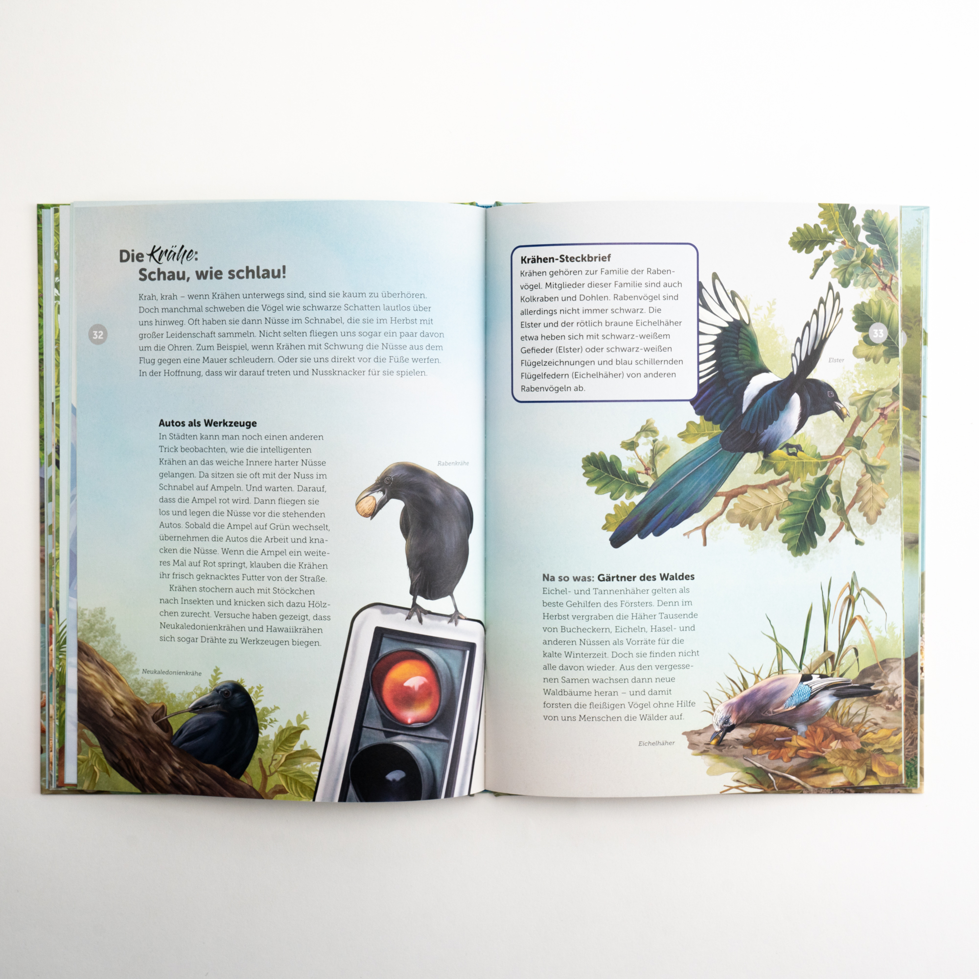 9783757101268_innenansicht_02 9783757101268_innenansicht_02.jpg