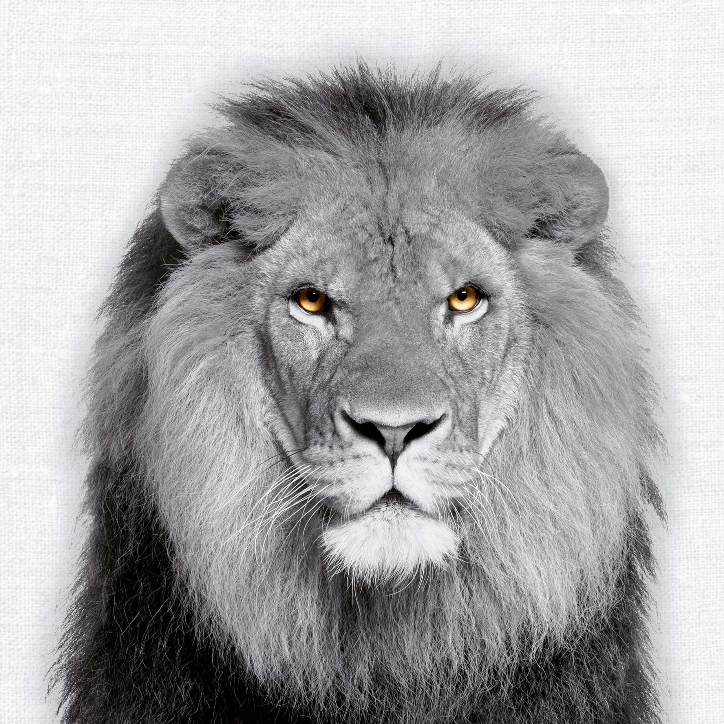 9783959295284_innenansicht_08 9783959295284_innenansicht_08.jpg