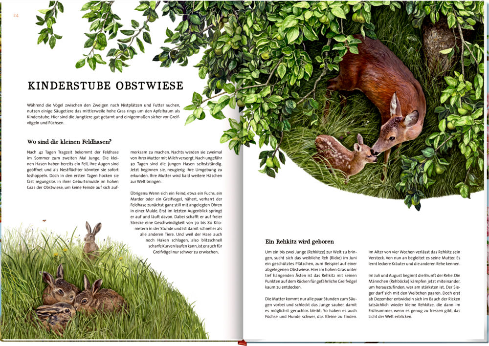 9783649637752_innenansicht_03 9783649637752_innenansicht_03.jpg